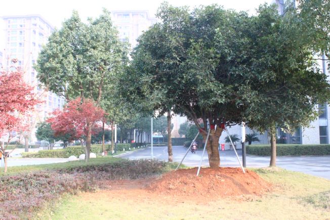 点击查看源文件