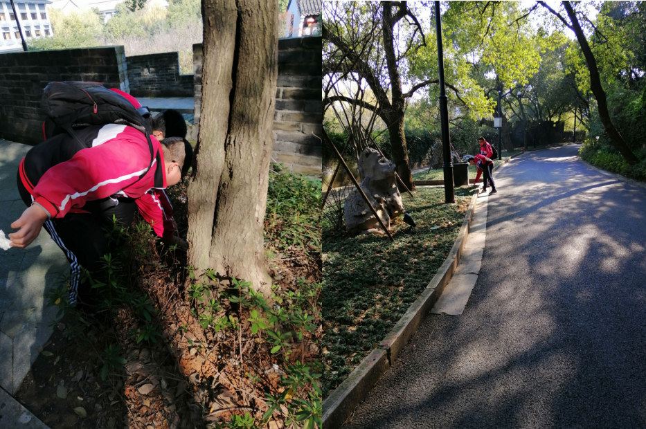 9913b175e10046eba1d2efd1b0f9195f.png 9913b175e10046eba1d2efd1b0f9195f.png