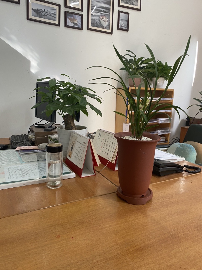 30f95478e53e491187803fd28f3bcfa3.jpg 30f95478e53e491187803fd28f3bcfa3.jpg