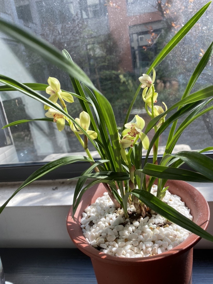 59a664fe6b1d490089c8146ba7a867c5.jpg 59a664fe6b1d490089c8146ba7a867c5.jpg