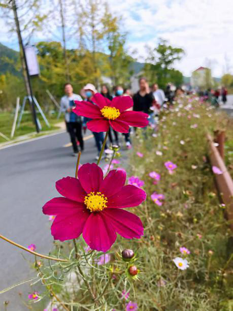 ed2fe336eb194721993ed3e6a8668465.png ed2fe336eb194721993ed3e6a8668465.png