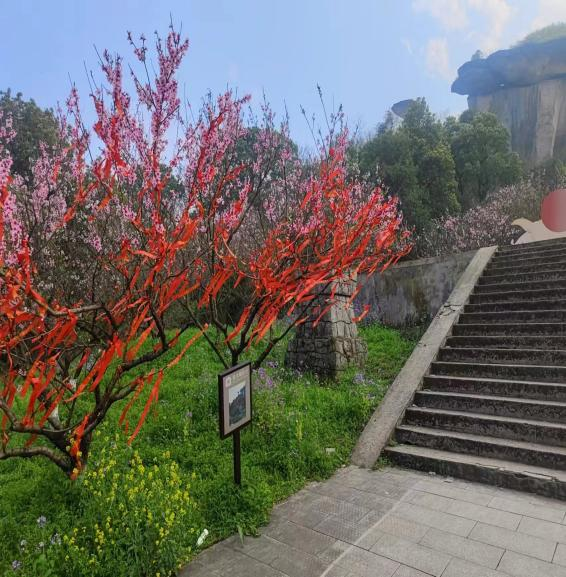 4e9109f6837344a3bc6795007ce58057.png 4e9109f6837344a3bc6795007ce58057.png