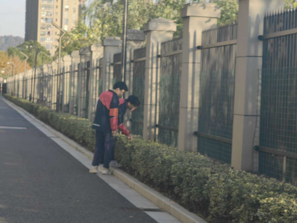 cea903afe24f465d80624f404b01400c.png cea903afe24f465d80624f404b01400c.png