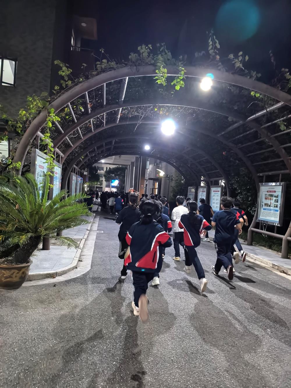 8ca0819eb87e455c965e3b8cb8f1e788.jpg 8ca0819eb87e455c965e3b8cb8f1e788.jpg