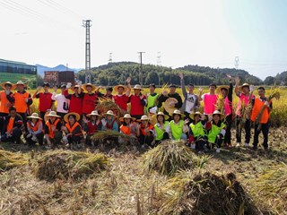 田野里的劳动课