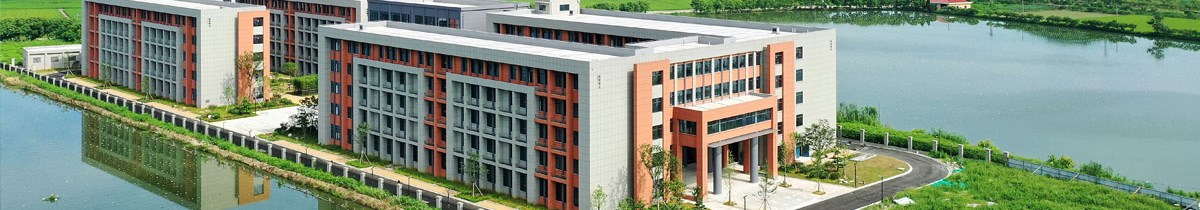 校园世界杯（中国）